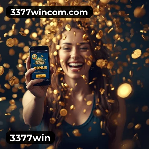 3377win Windows installer
