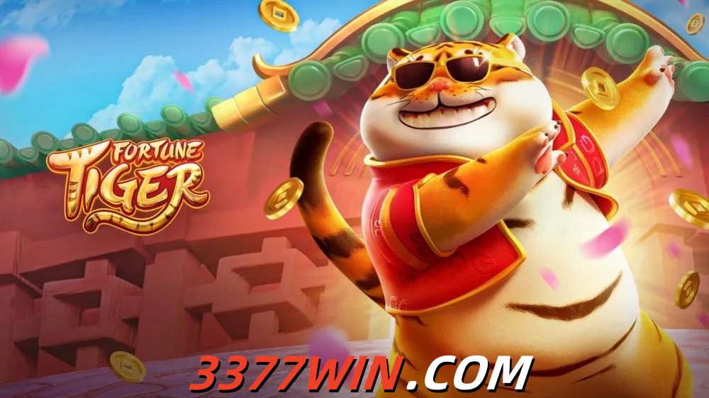  3377win